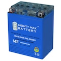 Mighty Max Battery YTX14AH-BS GEL 12V 12AH Battery Replaces Yamaha 400/350cc 97-14 YTX14AHGEL220